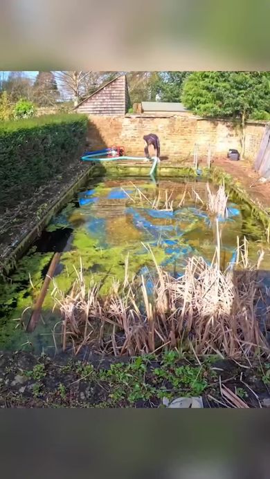 藻が漂っていてやばい状態のプール