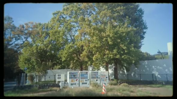 「写ルンです」のレンズ越しに撮り色彩補正をかけた樹木の映像