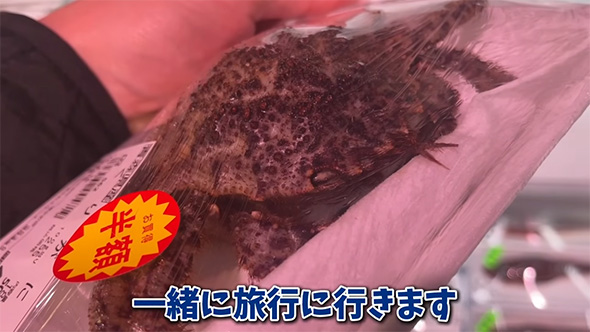 一緒に旅行に行きます