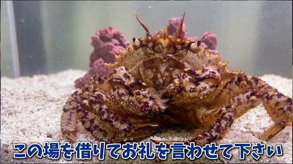 この場を借りて