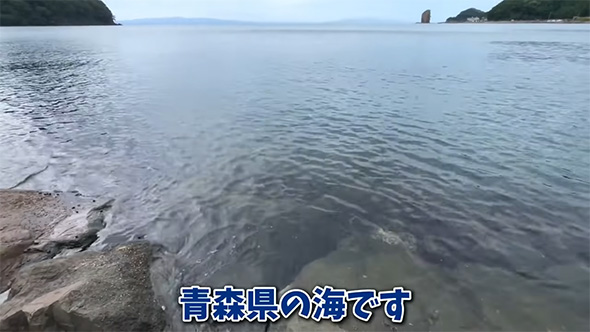 青森県の海です