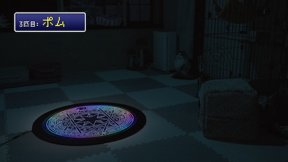 ネコ転送装置を検証