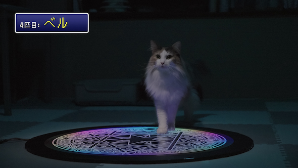 ネコ転送装置を検証