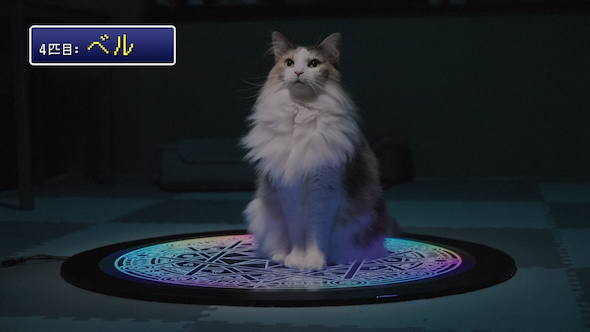 ネコ転送装置を検証