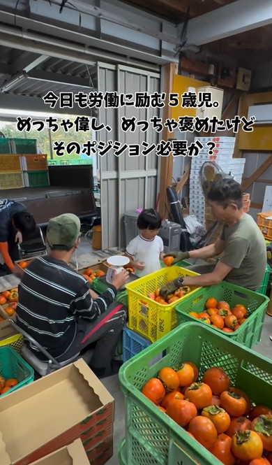 労働にはげむ5歳児