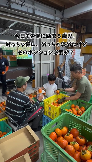 労働にはげむ5歳児