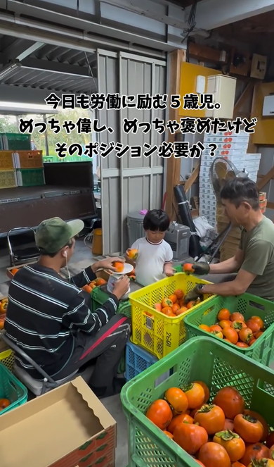 労働にはげむ5歳児