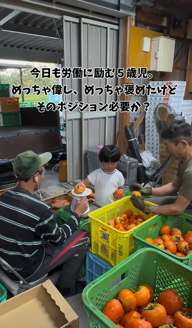 労働にはげむ5歳児