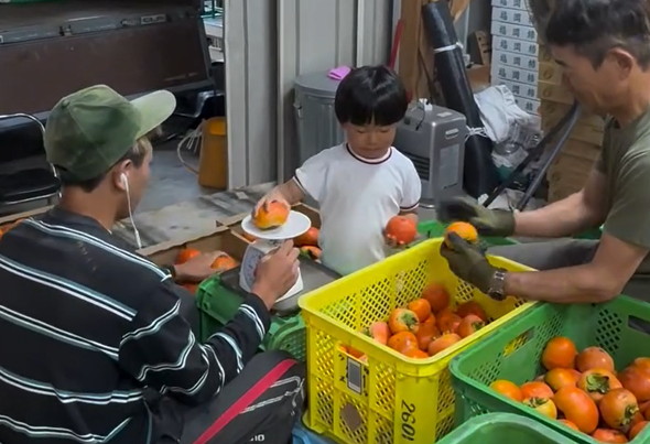 労働にはげむ5歳児