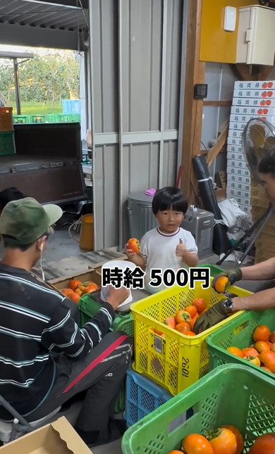 労働にはげむ5歳児