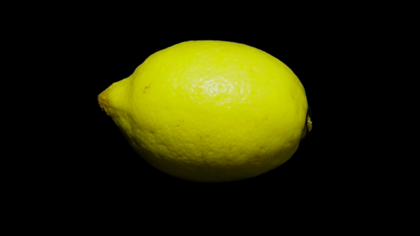 スタート時のレモン