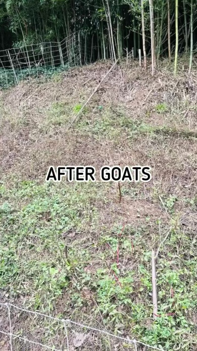 こんなにもきれいに！