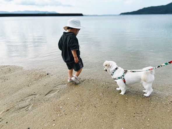 海で遊ぶワンコと子ども