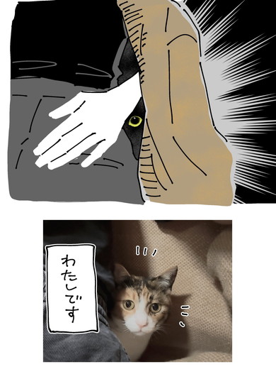 カーディガンの隙間にいる猫ちゃん