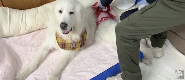 ルンルンちゃん