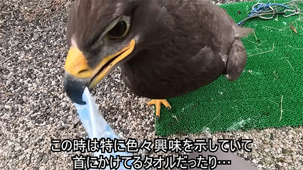 この時は特にいろいろ