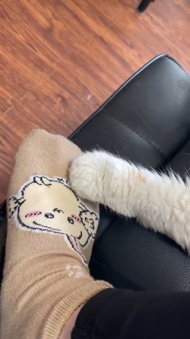 飼い主さんの足をふみふみする猫ちゃん