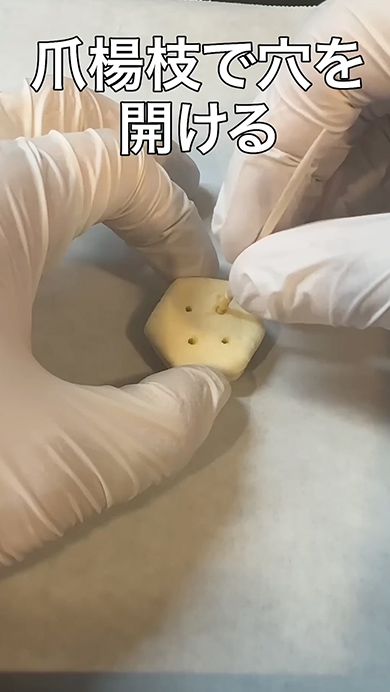 「パイの実」を自作して中身を入れ替えるドッキリ