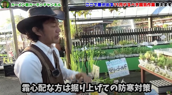 11月にやっておくべき植物管理