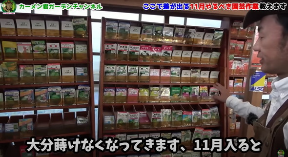 11月にやっておくべき植物管理