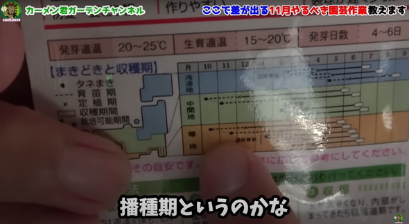 11月にやっておくべき植物管理