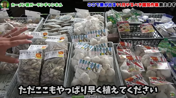 11月にやっておくべき植物管理