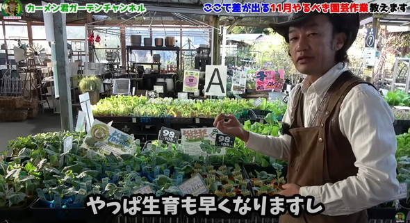 11月にやっておくべき植物管理