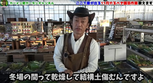 11月にやっておくべき植物管理