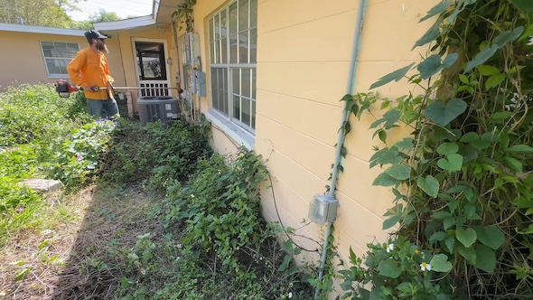 ジャングルのような庭を掃除