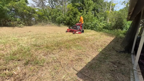 ジャングルのような庭を掃除