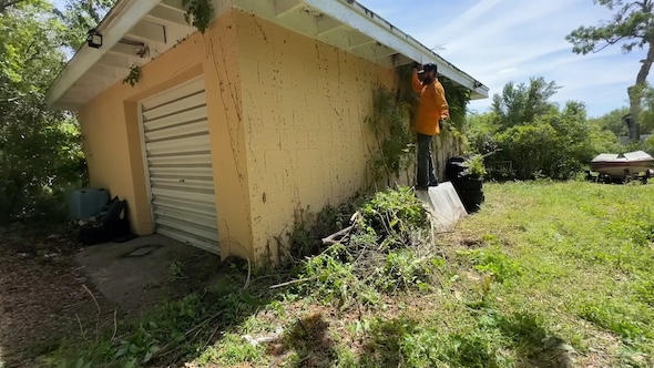 ジャングルのような庭を掃除