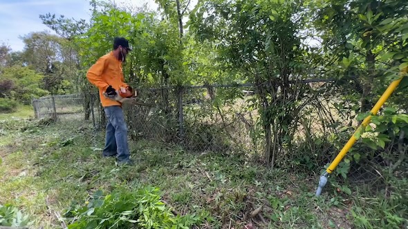 ジャングルのような庭を掃除