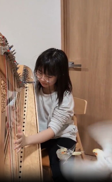 ハープに聴き入るインコたち