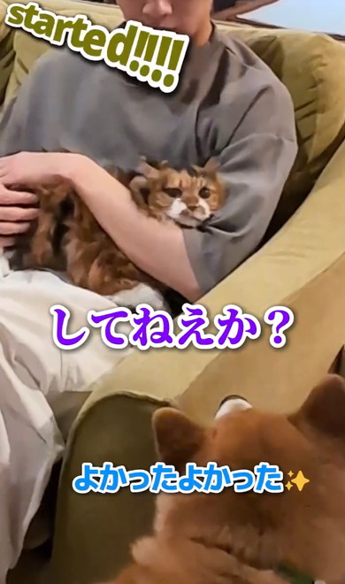 長男帰国でワンコたち大パニック