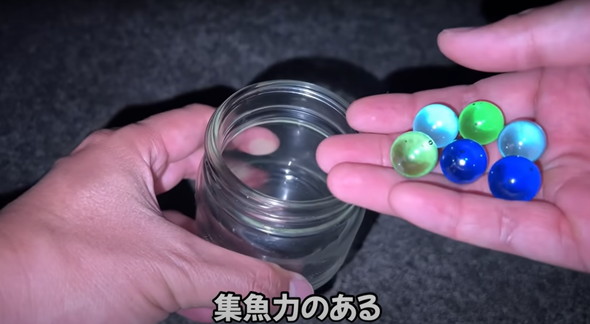 100均ライトを海に落とすと魚がめちゃくちゃ釣れた