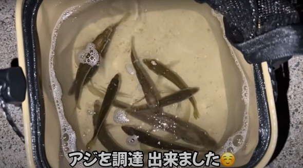 100均ライトを海に落とすと魚がめちゃくちゃ釣れた