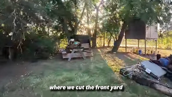 作業後の庭の様子