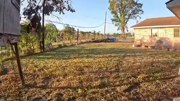 見晴らしがよくなった庭