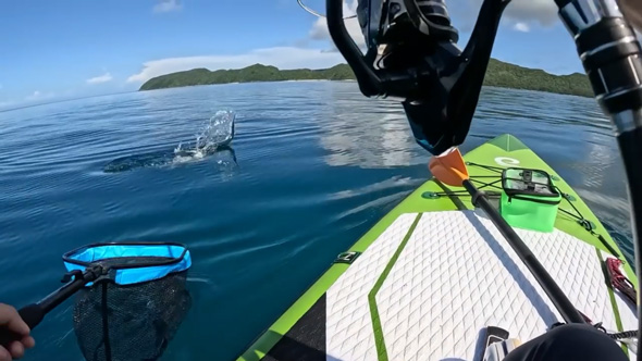 SUP サップ 釣り 奄美大島 沈没 危機 死闘 ダツ