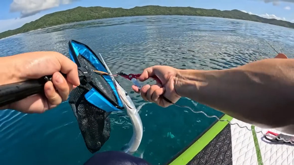 SUP サップ 釣り 奄美大島 沈没 危機 死闘 ダツ