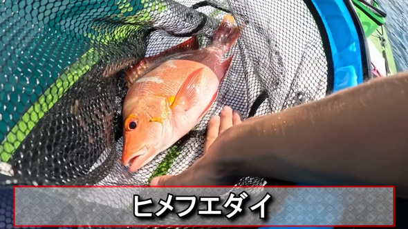 SUP サップ 釣り 奄美大島 沈没 危機 死闘 ダツ