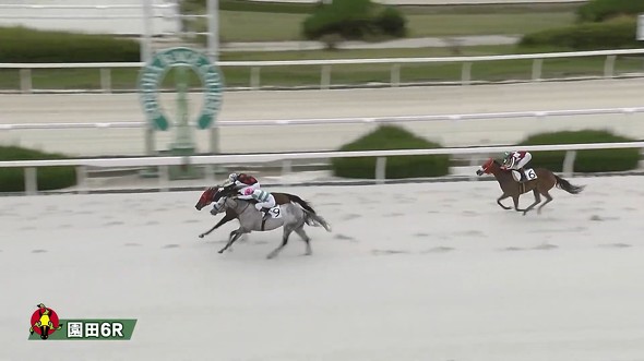 園田競馬