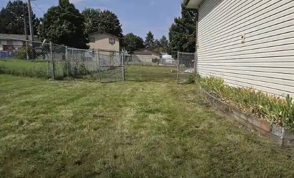 きれいに草刈りされた庭