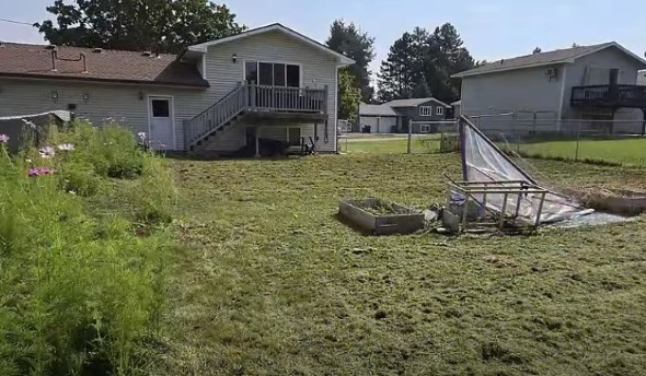 草刈り後の庭の全景