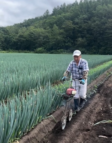 1列ずつネギの上部分をカット