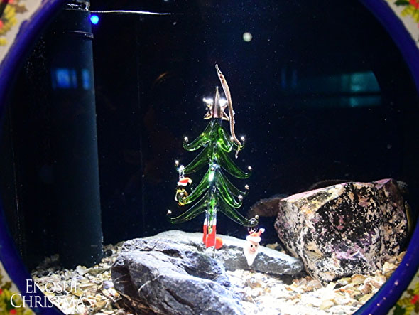 新江ノ島水族館のシラスツリー