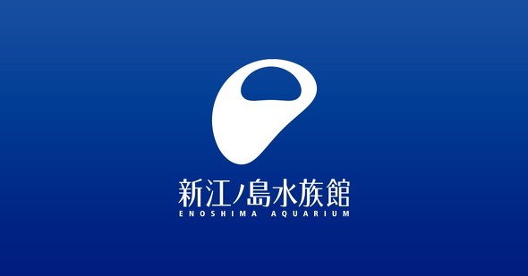 新江ノ島水族館のシラスツリー