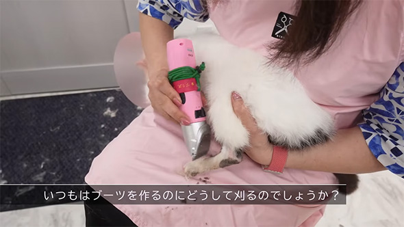 いつもはブーツを作るのに