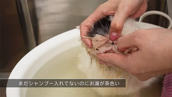 まだシャンプー入れてないのに