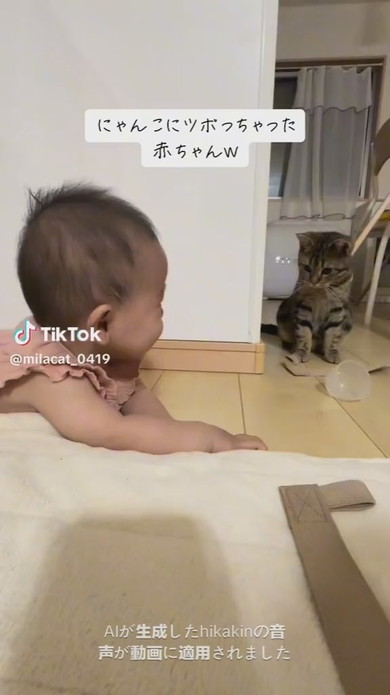 猫ちゃんを見て大笑いをする赤ちゃん